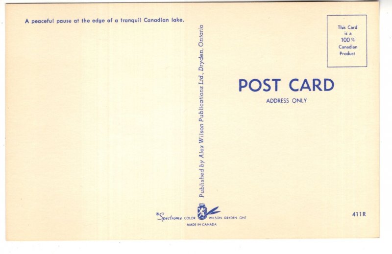 Woman Setting by Lake, Peaceful Pause, Ontario