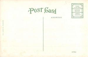 Fond Du Lac Wisconsin Palmer Hotel Street View Antique Postcard K63279