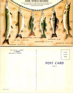 Some World Records The Fishing is Great in Canada Sportsman's Paradise (11719)