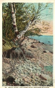 Vintage Postcard Beach Scene Lake Shore Drive Northern Michigan C. T. American