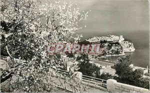Modern Postcard Monaco is in flower scents intoxicate our hearts
