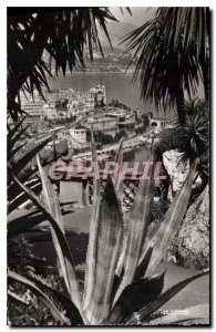 Old Postcard Monte Carlo Casino saw the Exotic Garden