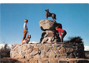 Lot159 new zealand tekapo bronze monument a tribute to shepherd dogs