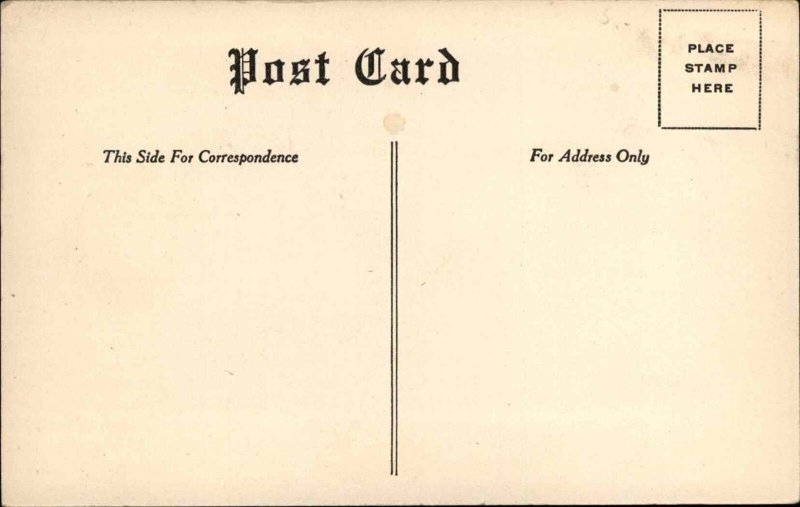 Evelyn von Hartmann Cupid in Wedding Ring Marriage Proposal c1910 Postcard