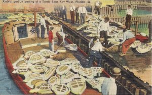 Key West FL Turtle Boat Unloading, Fishing 1935-45 Tichnor Linen Florida