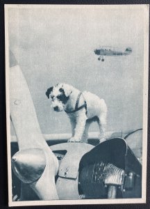 Mint Czechoslovakia Real Picture Postcard Aeroclub Flying Dog