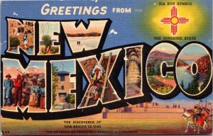 Large Letter Greetings from New Mexico Postcard