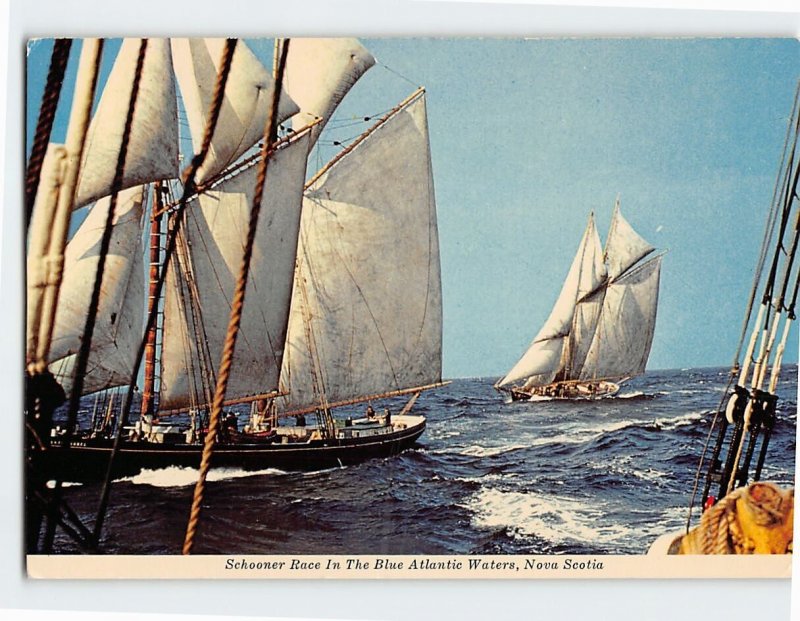 Postcard Schooner Race in the Blue Atlantic Waters Nova Scotia Canada