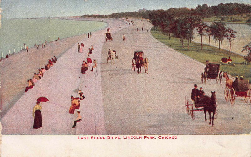 Lake Shore Drive, Lincoln Park, Chicago, IL, Early Postcard, Used in 1910