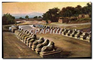 Postcard Ancient Egypt Karnak Egypt - Avenue of Sphinxes