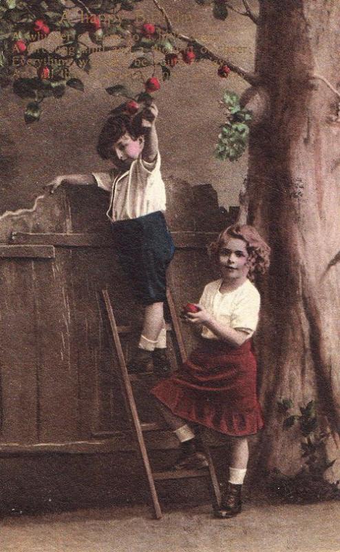 Boy Girl Lovers Picking A Rose Flower Tree Climbing Ladder Antique Love Postcard