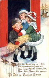 Whitney Cute Kids Children Song Birds Danish Christmas Vintage Postcard