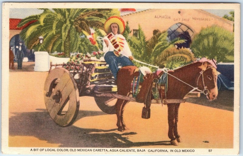 c1940s Agua Caliente, Mexico Old Caretta Horse Cart Almacen Palm Trees A359