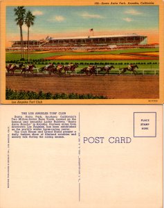 Santa Anita Park, Calif (14899