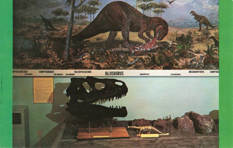 Postcard Allosaurus Pre-Historic Museum Price Utah