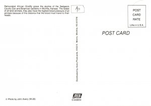 Zebras,Sedgewick County Zoo,Wichita,KS