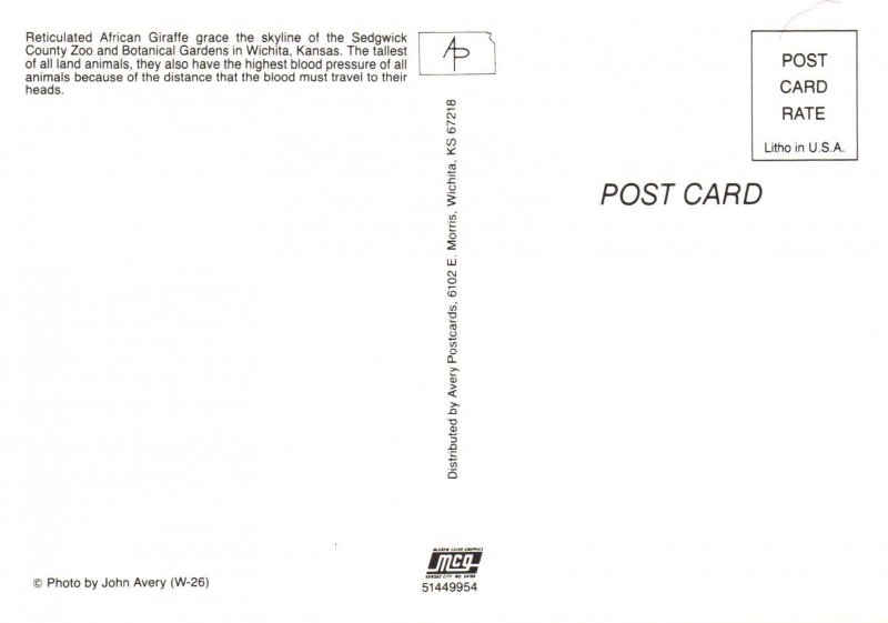 Zebras,Sedgewick County Zoo,Wichita,KS