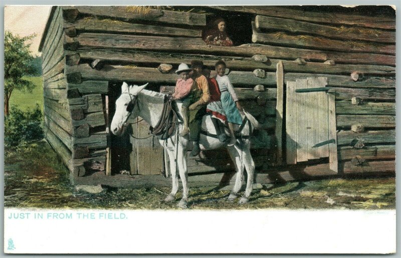 BLACK AMERICANA JUST IN FROM THE FIELD ANTIQUE UNDIVIDED POSTCARD 