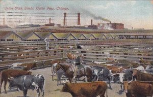 Illinois Chicago Union Stock Yards Cattle Pens 1908