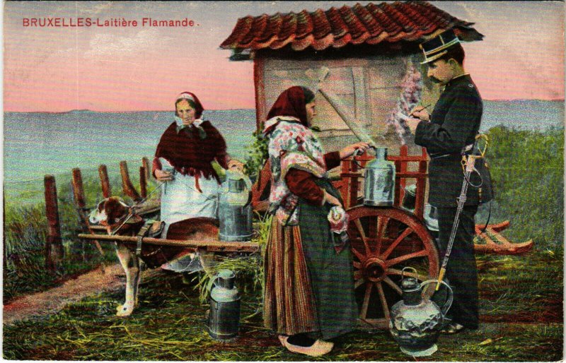 PC CPA DOGS, BRUXELLES, LAITIÉRE FLAMANDE, Vintage Postcard (b17226)