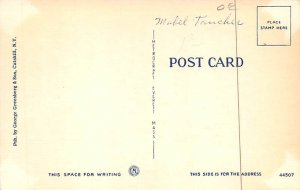 High Up In The Catskills View Postcard Backing 