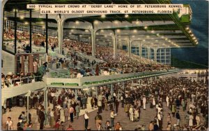 Night Crowds at Derby Lane, St Petersburg Kennel Club Vintage Postcard O59