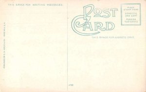 Pensacola Florida Loading Cotton onto Ship Vintage Postcard AA32293