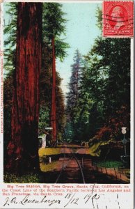 Big Tree Station Big Tree Grove Santa Cruz California Vintage Postcard C053