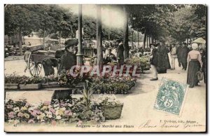 Old Postcard Angers On Flower