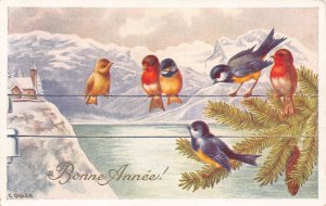 New Year Greetings Songbirds Swallow Birds Mountain postcard B920
