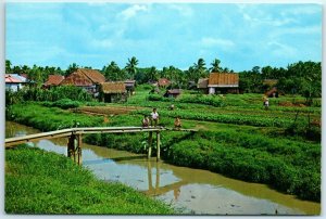 M-36109 Typical Rural Area Vegetable Farm of Singapore