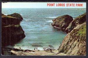 China Cove,Point Lobos State Park,CA BIN