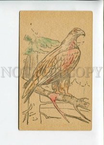 3157122 Hunt FALCON EAGLE Hawk Vintage tinted RARE Russian PC