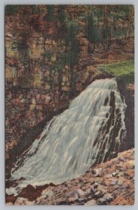 Yellowstone Nat Park Colorado~Rustic Falls~Golden Gate Canon~Vintage Postcard 