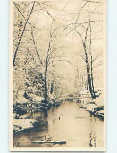 Pre-1930 rppc abstract nature STARK SNOW COVERED BARREN TREES ALONG RIVER HM0292