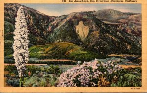 California San Bernardino Moutains The Arrowhead Curteich