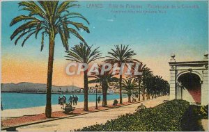 Postcard Old Cannes Palm Allee Promenade de la Croisette