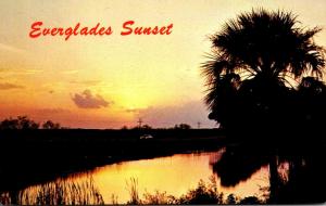 Florida Everglades National Park Beautiful Sunset