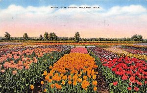 Nelis Tulip Farms Tulip Time - Holland, Michigan MI