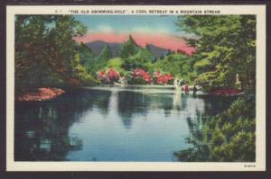 The Old Swimming Hole,Cool Retreat in a Mountain Postcard 