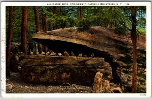 VINTAGE POSTCARD ALLIGATOR ROCK OTIS SUMMIT CATSKILL MOUNTAINS MAILED CAIRO N.Y.