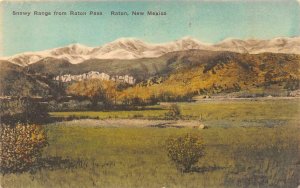 RATON, NM New Mexico SNOWY RANGE From RATON PASS Hand-Colored Albertype Postcard