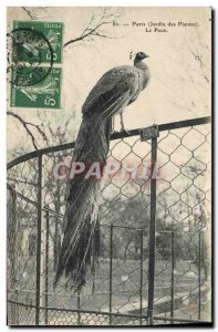 Old Postcard Paris Jardin des Plantes Peacock