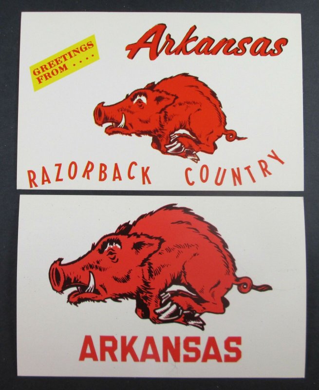 Lot of (2) Arkansas AR Razorback Country Postcards (F9)