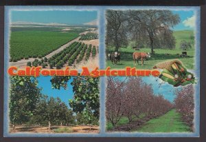California Agriculture Leading Produces of Agricultural the World - Cont'l