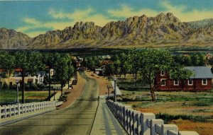 Organ Mountains and Viaduct Las Cruces, N. M. Vintage Postcard P55