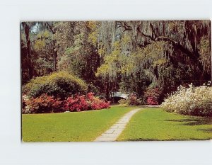 Postcard Magnolia Gardens, Charleston, South Carolina