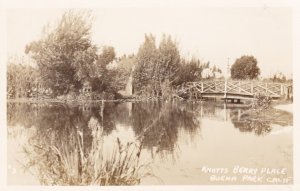 California Buena Park Knotts Berry Place Real Photo