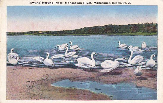 New Jersey Manasquan Beach Swans Resting Place Manasquan River 1936