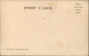Sidney NY RR Train Station Depot Regiment Loading c1905 Postcard